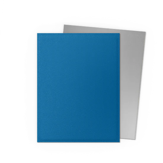 Dragon Shield Standard Matte Dual Sleeves - Edición especial - Azul y plata (100 fundas)